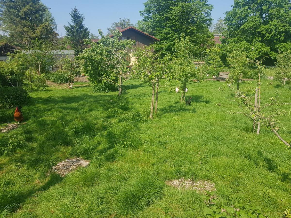 Appartamento Casa Piedro Starnberg Esterno foto